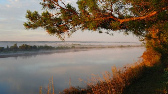 sam_0527
